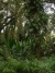 cimg4445_2