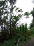 cimg4446_2