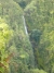p1010579_2