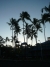 p1010604