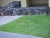 dscn3235