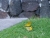 dscn3236