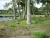 dscn3597