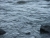 imgp3040