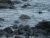 imgp3042