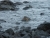 imgp3044