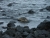 imgp3046