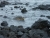 imgp3047