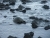 imgp3049