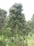 dscn3227