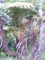 dscn3228