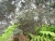 dscn3229