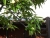 dscn3366