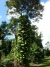 dscn3375