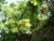 dscn3408
