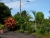 dscn3437