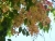 dscn3500