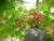 dscn3501