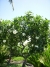 dscn3512