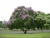 dscn3637