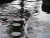 imgp3456