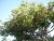 DSCN5776