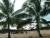 CIMG1961