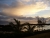 DSCN5842