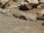 CIMG2176