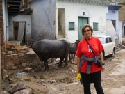 neemrana_09