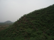 neemrana_15