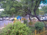 to_neemrana_01