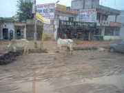 to_neemrana_02
