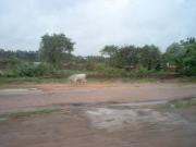 to_neemrana_04