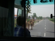 to_neemrana_19