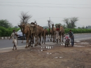 to_neemrana_21