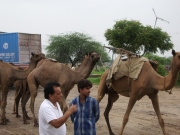 to_neemrana_22