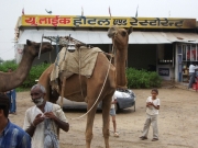 to_neemrana_23