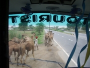 to_neemrana_24