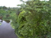 orcha_05