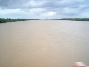 orcha_06