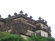 orcha_16