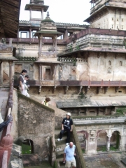 orcha_32