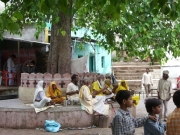 orcha_35