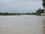 orcha_38