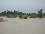 orcha_39