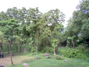 khajurao__templi_33