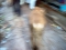varanasi_la_citta_13