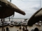 varanasi_la_citta_67