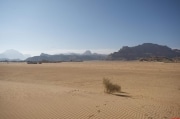_JOR6185